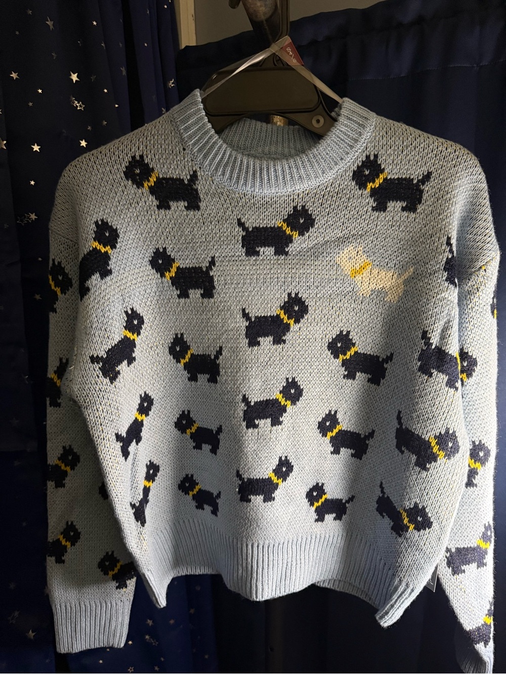 Light Blue Dog-Print Crewneck Sweater - Women
